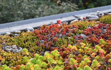 the cost of Ballywalter green roof installation