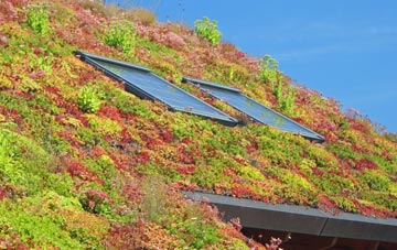 Ballywalter living roof systems