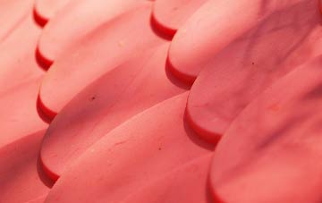 Ballywalter plastic roof costs