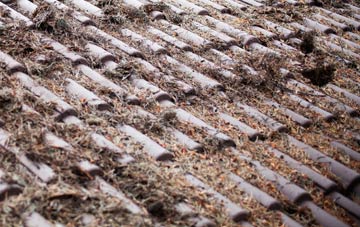 Ballywalter roof cleaning companies