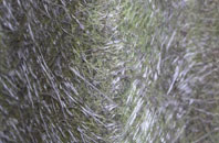 Ballywalter fibreglass roof work